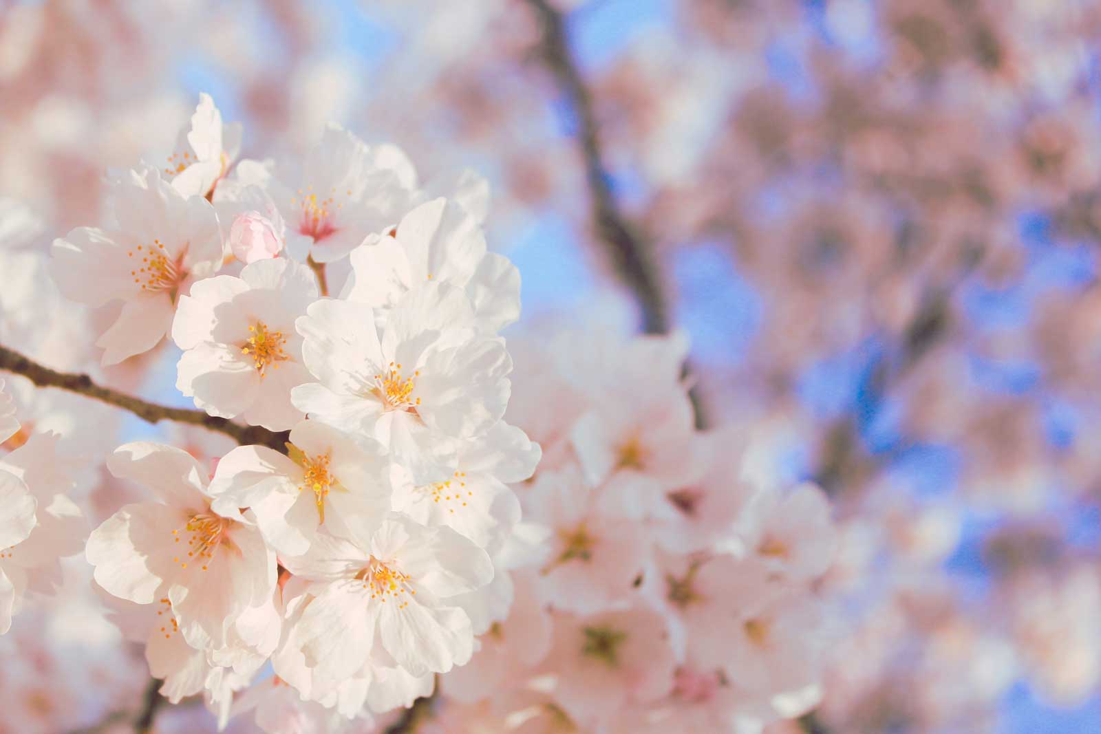 TOP 10 activités d’entreprise en plein air pour séminaire de printemps