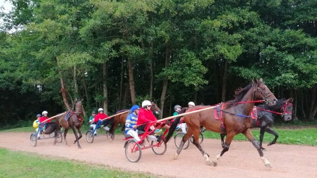 CoDir à Deauville