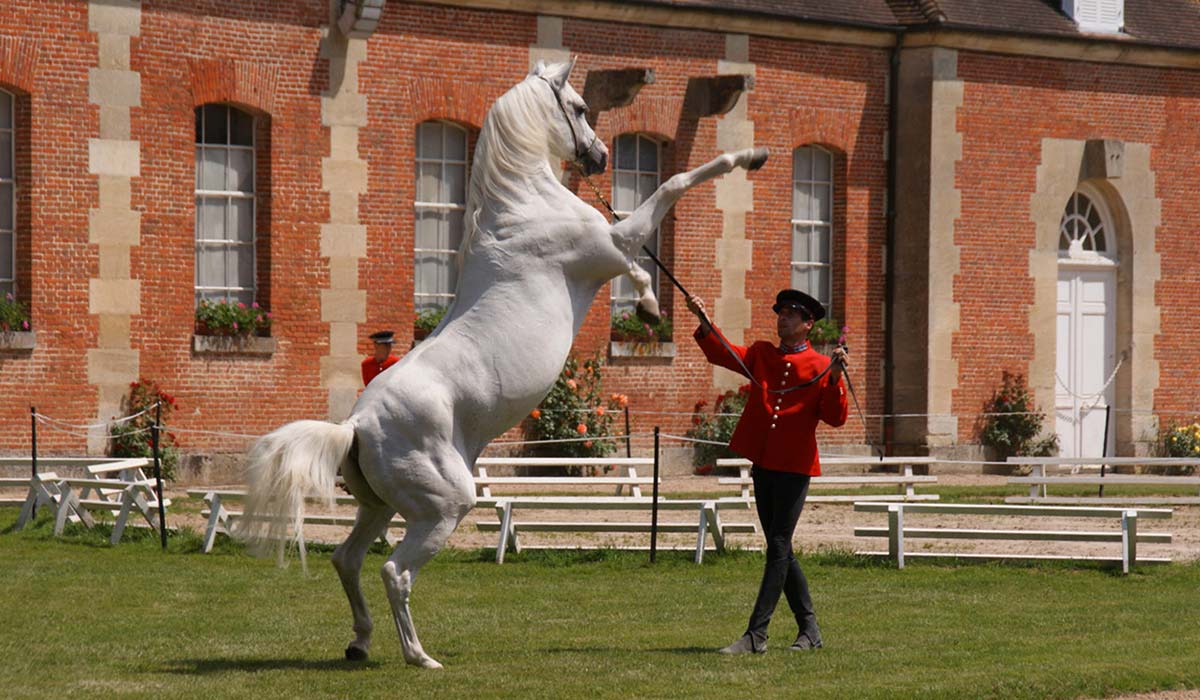 L&rsquo;Orne et le Haras du Pin