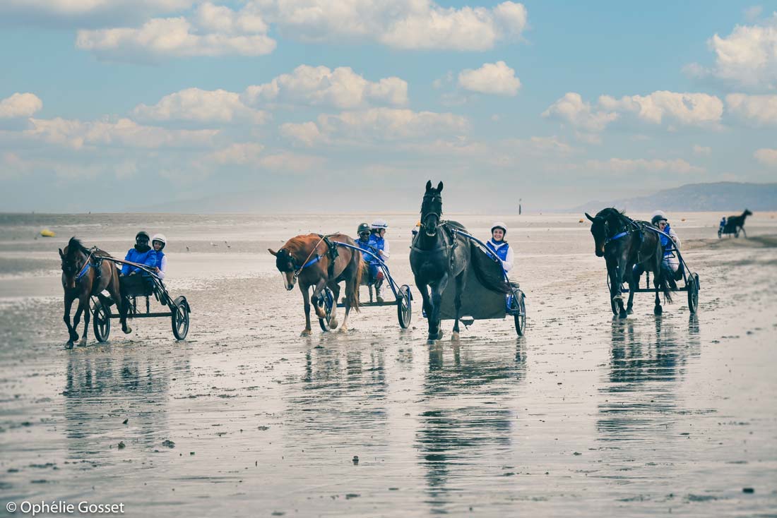 Sulky sur la plage, activité de team building